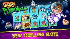 CK799 pasang taruhan parlay dan live betting – strategi odds terbaik untuk pemain berpengalaman